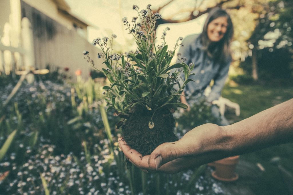 Person holding a plant in garden setting with blurred woman in the background